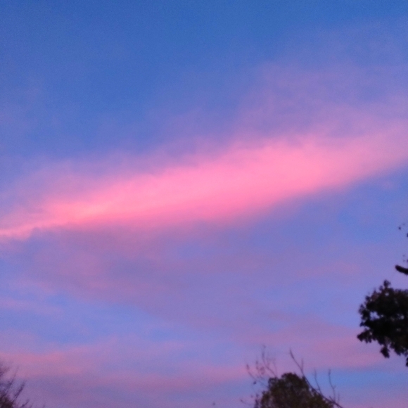 Meet your Posher, Megan - Picture 2 of 2